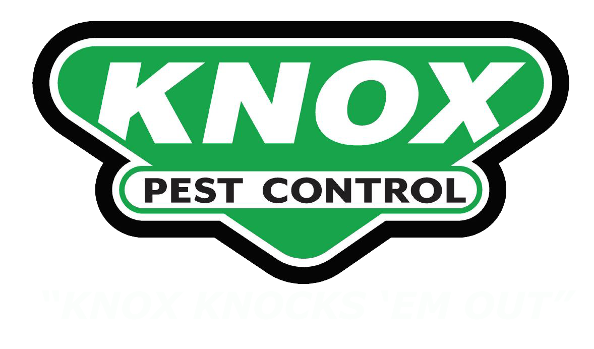 Justin Knox of Knox Pest Control Highlights Key Trends Affecting Homes, Health, and Peace of Mind